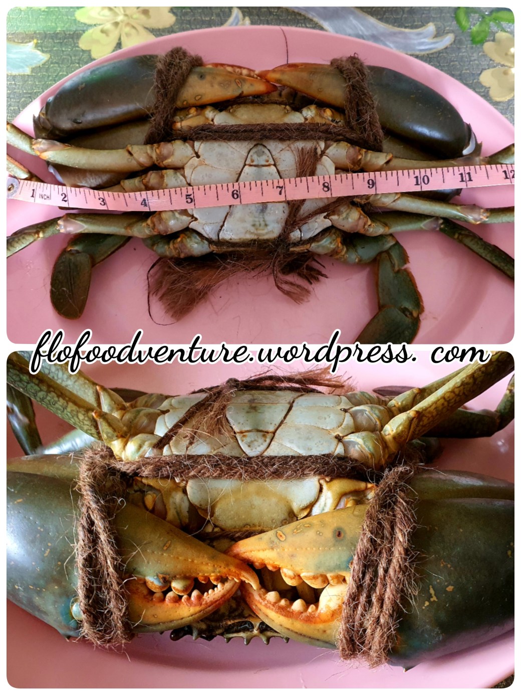 20-02-26-14-39-37-307_deco