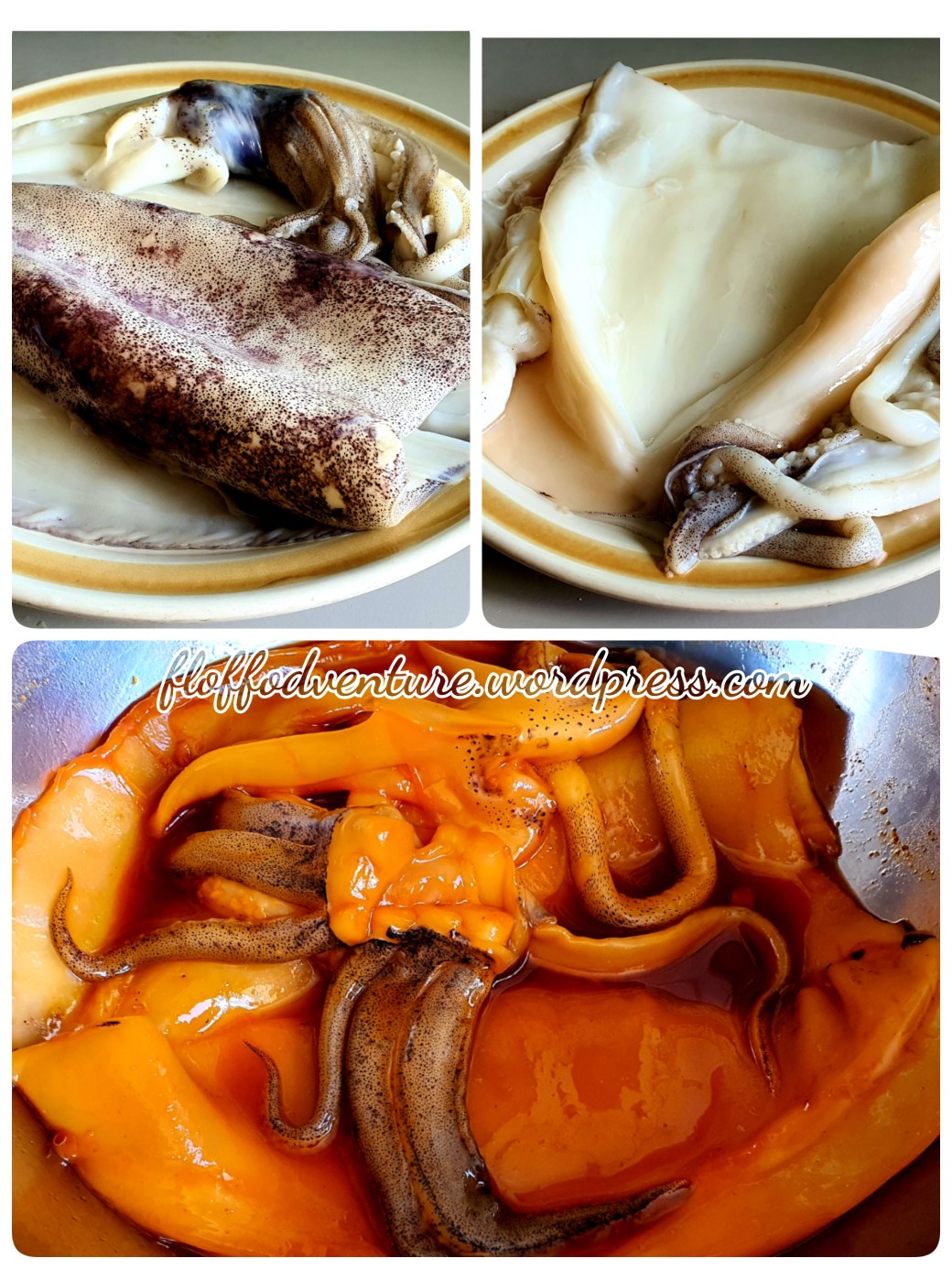 20-03-01-12-54-34-078_deco